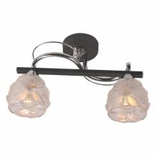 Светильник Augusta IDLamp 218/2PF-Blackchrome