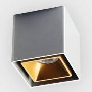 Точечный светильник FASHION ITALLINE FASHION FX1 alu/gold