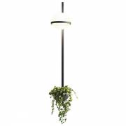 Бра Peggy L ARTE LUCE L48523