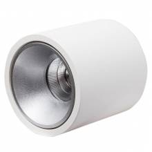 Точечный светильник RINBOK LEDRON RINBOK White/Grey