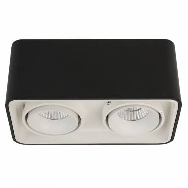 Точечный светильник LEDRON TUBING 2 Black/White TUBING