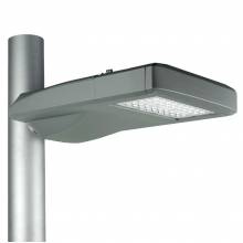  SCAN-RAY Leds-C4 80-4971-BQ-M2