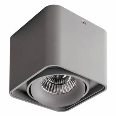 Точечный светильник Lightstar 052119 Monocco