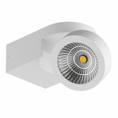 Спот Lightstar 055163 SNODO
