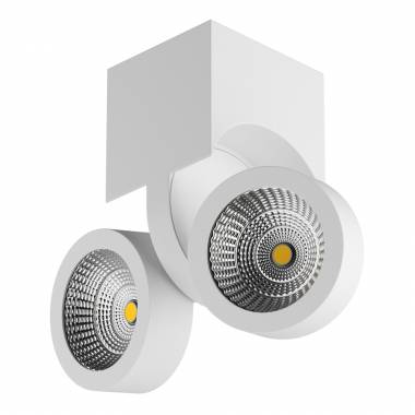 Спот Lightstar 055363 SNODO