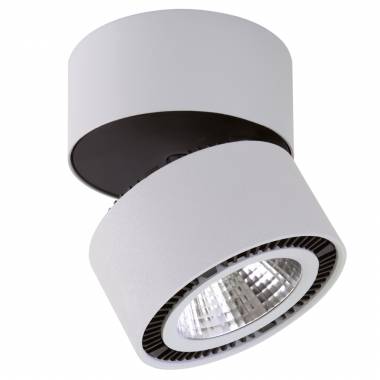 Точечный светильник Lightstar 214859 FORTE MURO