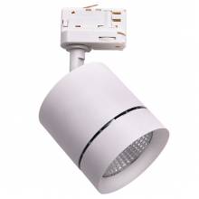  CANNO Lightstar 301564