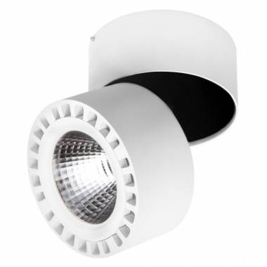 Точечный светильник Lightstar (Forte) 381363