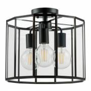 Люстра GENNI Lightstar 798237