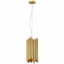 Светильник SAVONA Lightstar 816022