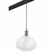  Genni Lightstar PRO798031