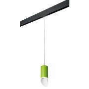  Rullo Lightstar PRORP43436