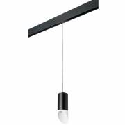  Rullo Lightstar PRORP43736