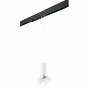  Rullo Lightstar PRORP486436