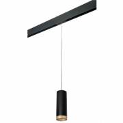  Rullo Lightstar PRORP48740