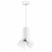 Светильник RULLO Lightstar RP436436