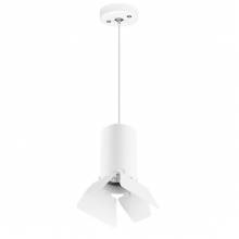 Светильник RULLO Lightstar RP436436