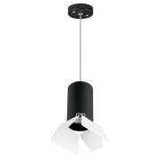 Светильник RULLO Lightstar RP437436