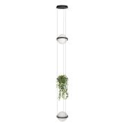 Светильник Jardin Loft IT 10121/2P Dark grey