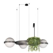 Светильник Jardin Loft IT 10121/3 Dark grey