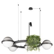 Светильник Jardin Loft IT 10121/4 Dark grey