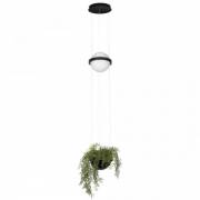 Светильник Jardin Loft IT 10121/B