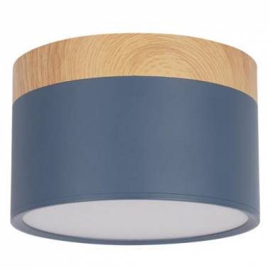 Точечный светильник Loft IT(Grape) 10162 Blue