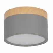 Точечный светильник Grape Loft IT 10162 Grey