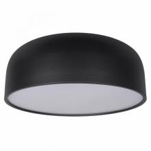 Светильник Axel Loft IT 10201/480 Black