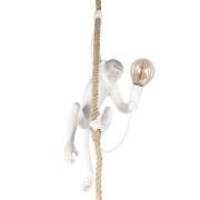 Светильник Monkey Loft IT 10314P