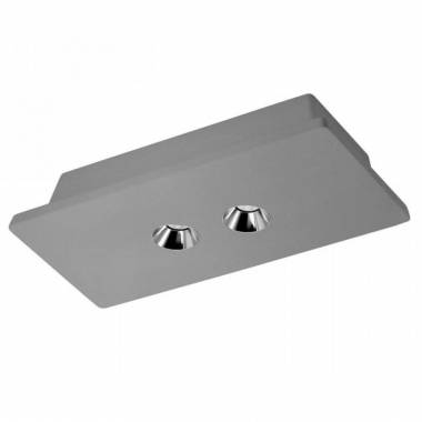 Точечный светильник Loft IT(Architect) OL1072-GH/2