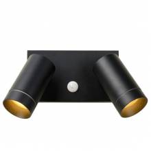  TAYLOR Lucide 09831/02/30