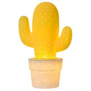  CACTUS Lucide 13513/01/34