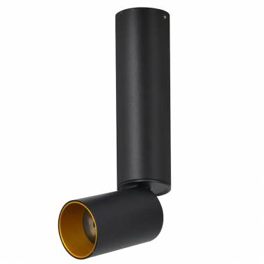 Точечный светильник Lumien Hall(ТОРИН) 8001/1CM-BK-GD