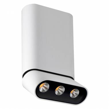 Точечный светильник Lumien Hall(ФЕРГУС) 8005/3CM-WT-BK