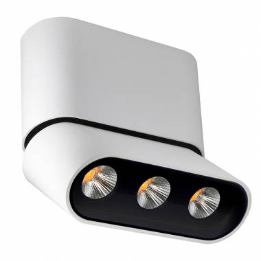 Точечный светильник Lumien Hall(ФЕРГУС) 8005/3CS-WT-BK