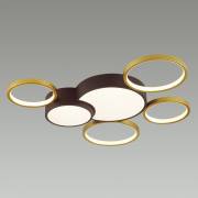 Светильник LEDIO Lumion 5255/99CL