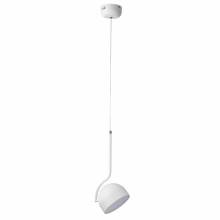Светильник ARLO Lumion 6501/10L