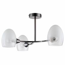 Люстра KENDALL Lumion 6513/3C