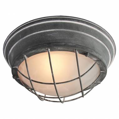 Светильник Lussole(Brentwood) GRLSP-9881