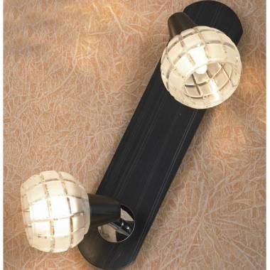 Спот Lussole LSL-8601-02 Silandro