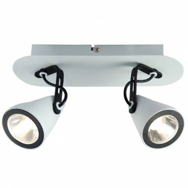 Спот Lussole LSN-4101-02 Treazol