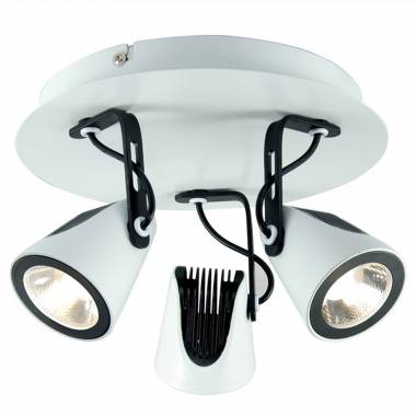 Спот Lussole LSN-4101-03 Treazol