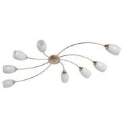 Люстра Олимпия 42 MW-LIGHT 638016508