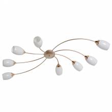 Люстра Олимпия 42 MW-LIGHT 638016508