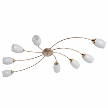 Люстра MW-LIGHT(Олимпия) 638016508