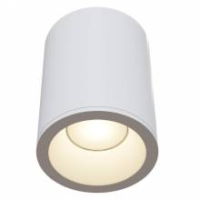 Точечный светильник Antares Maytoni C029CL-01W