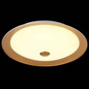 Светильник Euler Maytoni CL815-PT42-G