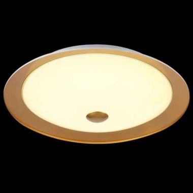 Светильник Maytoni CL815-PT42-G Euler