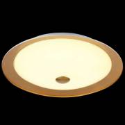 Светильник Euler Maytoni CL815-PT50-G